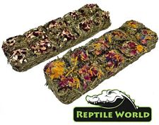 Reptile tortoise treat for sale  FAKENHAM