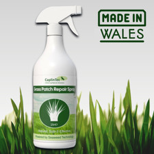 Green grass paint for sale  MOLD