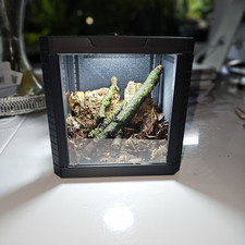 Printed isopod display for sale  NOTTINGHAM