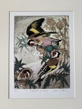 David koster 1926 for sale  SLOUGH