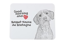Basset fauve bretagna usato  Spedire a Italy