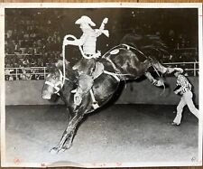 Vintage rodeo photo for sale  Huntington Beach