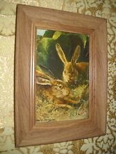 Wild rabbits garden for sale  Fresno
