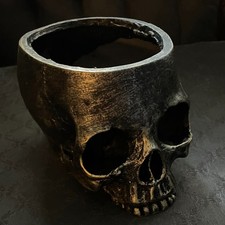 Faux human skull for sale  New York