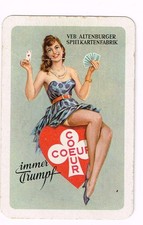 Ddr taschenkalender altenburge gebraucht kaufen  Themar