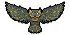 Oiseau proie tete d'occasion  Le Val