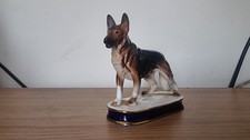 Alsatian german shepherd for sale  CARTERTON