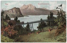 Alte vitznau rigi gebraucht kaufen  Reichenbach im Vogtland