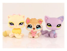 Mini pet shop for sale  Las Vegas
