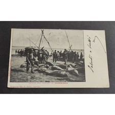 Cartolina pesca del usato Cartolina pesca del usato  Alessandria