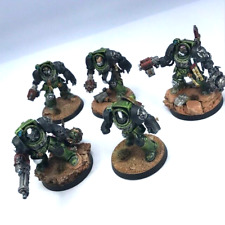 Salamanders terminator squad for sale  LLANSANTFFRAID