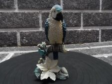 Blue macaw parrot for sale  UK