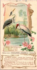59473 chromo chocolat d'occasion  Guéret