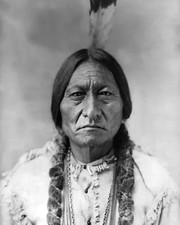 1885 chief sitting for sale  USA