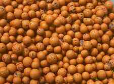 Clay pebbles hydroton for sale  Pauma Valley