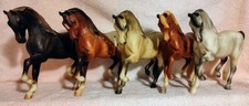 arab mare for sale arab mare for sale North Canton