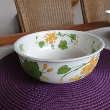Geranium schüssel 2 gebraucht kaufen  Überherrn
