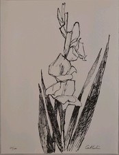 Lithographie arums bernard d'occasion  Mezzavia