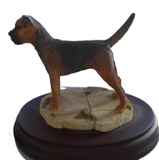 Border terrier small for sale  LISKEARD