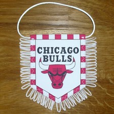 Chicago bulls fanion d'occasion  Arcachon