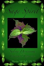salvia divinorum for sale salvia divinorum for sale USA