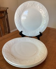 Gibson sea shells for sale  San Rafael