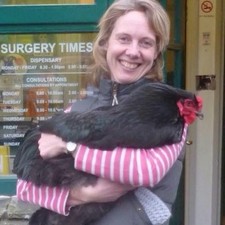 Brahma eggs. show for sale  SEDBERGH