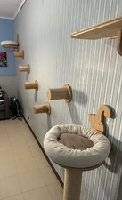 Percorso completo per usato  Torre Annunziata