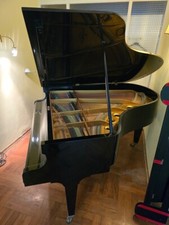 Riginal bechstein flügel gebraucht kaufen  Berlin