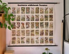 Vintage schulwandkarte geschü gebraucht kaufen  Deutschland