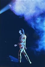 freddie mercury photos for sale freddie mercury photos for sale PRESTON