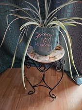 Plant stand side for sale  BOURNEMOUTH