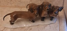 Rosenthal german dachshund for sale  Kennewick