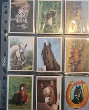 Panini pferde 1995 gebraucht kaufen  Aumühle