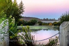 Landscape photography print for sale  Costa Mesa