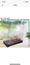 Grow bag fresh for sale  LLANDUDNO JUNCTION