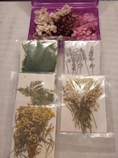 Flowers leaves scrapbook for sale  Spartanburg