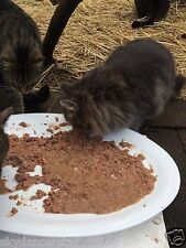 Feral cat health for sale  Mc Kee