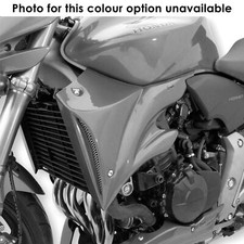 Ermax radiator cheeks for sale  PONTYCLUN