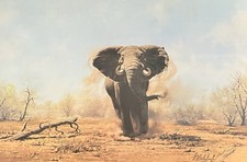 Guy coheleach charging for sale  High Point