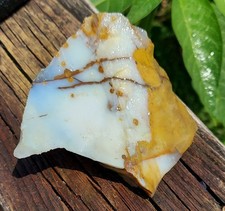 Blue ice polka for sale  Jacksonville