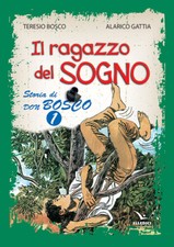 Ragazzo del sogno. usato  Schio
