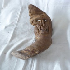 wurzelgesicht gebraucht kaufen wurzelgesicht gebraucht kaufen Landau