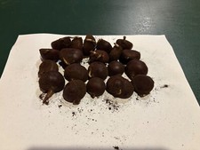 Dunstan hybrid chestnut for sale  Roaring Spring