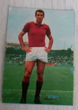Figurina calciatori album usato  Italia