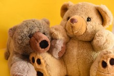 Teddy bär duo gebraucht kaufen  Berlin