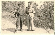 F712 cartolina fotografica usato F712 cartolina fotografica usato  Tramonti