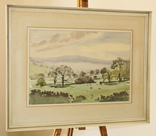 Angus rands large for sale  HARROGATE