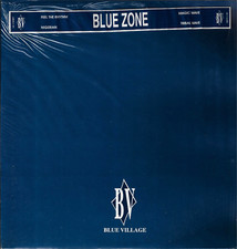 Blue zone feel usato  Roma