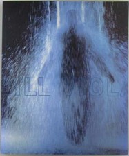 artist / Bill Viola 1997 comprar usado  Enviando para Brazil